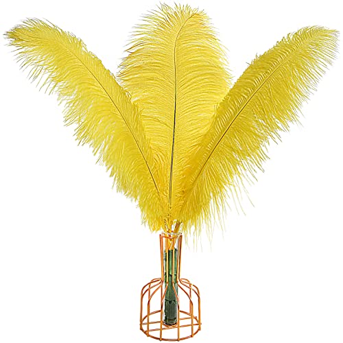 Straußenfedern, natürlich, 40 cm - 45 cm, für Hochzeit, Party, Tafelaufsatz, Ostern, Gatsby und Heimdekoration, Straußenfedern, 12 Stück Straußenfedern, natürlich, 40 cm - 45 cm, für Hochzeit, Party, Tafelaufsatz, Ostern, Gatsby und Heimdekoration, Straußenfedern, 12 Stück von ADSUBHSJFAKK
