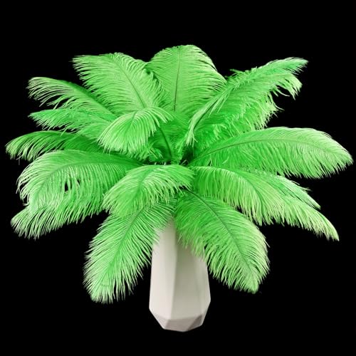 Straußenfedern, natürlich, 40 cm - 45 cm, für Hochzeit, Party, Tafelaufsatz, Ostern, Gatsby und Heimdekoration, Straußenfedern, 12 Stück Straußenfedern, natürlich, 40 cm - 45 cm, für Hochzeit, Party, Tafelaufsatz, Ostern, Gatsby und Heimdekoration, Straußenfedern, 12 Stück von ADSUBHSJFAKK