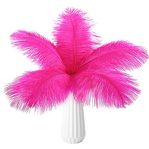 Straußenfedern, natürlich, 40 cm - 45 cm, für Hochzeit, Party, Tafelaufsatz, Ostern, Gatsby und Heimdekoration, Straußenfedern, 12 Stück Straußenfedern, natürlich, 40 cm - 45 cm, für Hochzeit, Party, Tafelaufsatz, Ostern, Gatsby und Heimdekoration, Straußenfedern, 12 Stück von ADSUBHSJFAKK