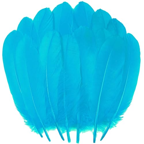 Türkisfarbene Bastelfedern, Großpackung – 15,2–20,3 cm Gänsefedern für Bastelarbeiten, Halloween-Dekorationen, Schmuck, Cosplay und Bekleidungszubehör, 120 Stück Türkisfarbene Bastelfedern, Großpackung – 15,2–20,3 cm Gänsefedern für Bastelarbeiten, Halloween-Dekorationen, Schmuck, Cosplay und Bekleidungszubehör, 120 Stück von ADSUBHSJFAKK