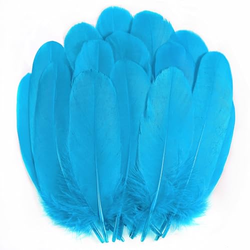 Turquoise Craft Gänsefedern, 200 Stück, 12,7–15,2 cm, natürliche Gänsefedern, Großpackung für DIY Handwerk und Hochzeit, Party, Weihnachten, Halloween, Heimdekoration (Türkis) von ADSUBHSJFAKK