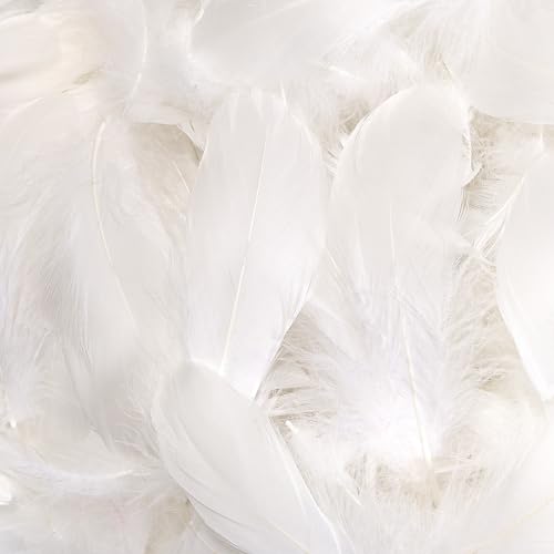 Weiße Federn, 7,6–12,7 cm, verschiedene Regenbogenfarben, Federn für Kinder, für selbstgemachte Hochzeit, Zuhause, Party, Dekoration, natürliche Federn, 360 Stück Weiße Federn, 7,6–12,7 cm, verschiedene Regenbogenfarben, Federn für Kinder, für selbstgemachte Hochzeit, Zuhause, Party, Dekoration, natürliche Federn, 360 Stück von ADSUBHSJFAKK