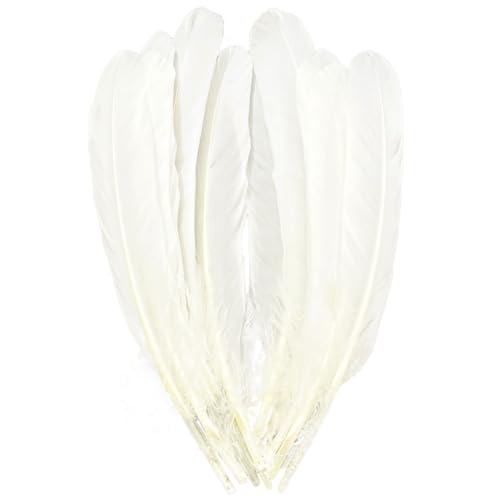 Weiße Federn, natürliche, große, lange Gänsefedern, 20–25 cm, große beidseitige Federn, linke und rechte Flügel zum Basteln, Großpackung (Naturweiß) von ADSUBHSJFAKK
