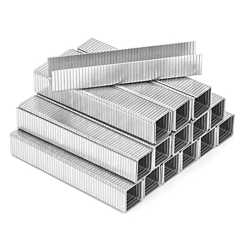 AECCN Strapazierfähiges Heftklammer-Set – 2000 hochwertige Heftklammern für Heftpistole, perfekt für Befestigungsmaterial, Dekoration, Tischlerei, Möbel, Türen und Fenster AECCN Strapazierfähiges Heftklammer-Set – 2000 hochwertige Heftklammern für Heftpistole, perfekt für Befestigungsmaterial, Dekoration, Tischlerei, Möbel, Türen und Fenster von AECCN