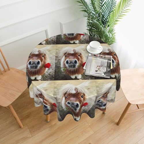 AEKGOHP Runde dekorative Tischdecke, 152,4 cm, Pferde- und Rosenmuster, wasserdicht, waschbar und wiederverwendbar, für Essen, Kaffee, Picknick, Hochzeit, Party AEKGOHP Runde dekorative Tischdecke, 152,4 cm, Pferde- und Rosenmuster, wasserdicht, waschbar und wiederverwendbar, für Essen, Kaffee, Picknick, Hochzeit, Party von AEKGOHP