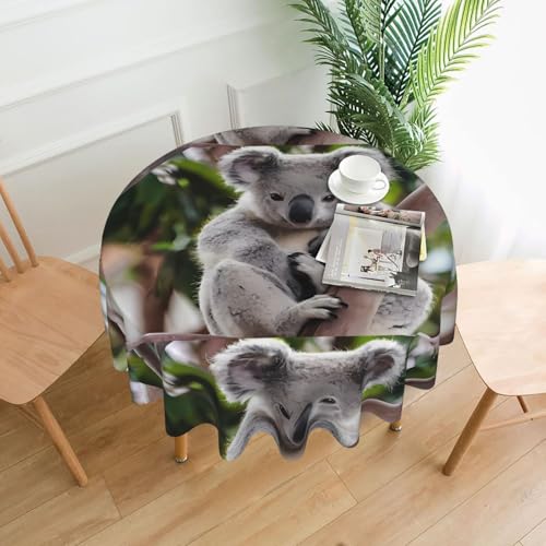 AEKGOHP Runde dekorative Tischdecke, 152,4 cm, niedliche Koala-Drucke, wasserdicht, waschbar und wiederverwendbar, für Essen, Kaffee, Picknick, Hochzeit, Party AEKGOHP Runde dekorative Tischdecke, 152,4 cm, niedliche Koala-Drucke, wasserdicht, waschbar und wiederverwendbar, für Essen, Kaffee, Picknick, Hochzeit, Party von AEKGOHP