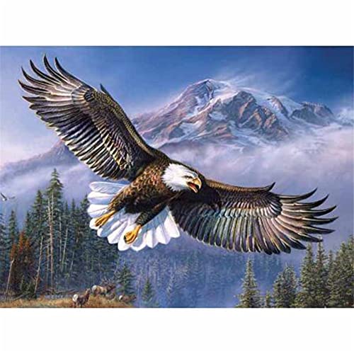5D Diamond Painting DIY Set Adler im Himmel Full Drill Diamant Painting Bilder für Bastelset Erwachsene Kreuzstich Diamant Malerei Kits Rhinestone Mosaik Deko Wohnzimmer 70x100cm/28x40inch 5D Diamond Painting DIY Set Adler im Himmel Full Drill Diamant Painting Bilder für Bastelset Erwachsene Kreuzstich Diamant Malerei Kits Rhinestone Mosaik Deko Wohnzimmer 70x100cm/28x40inch von AENL