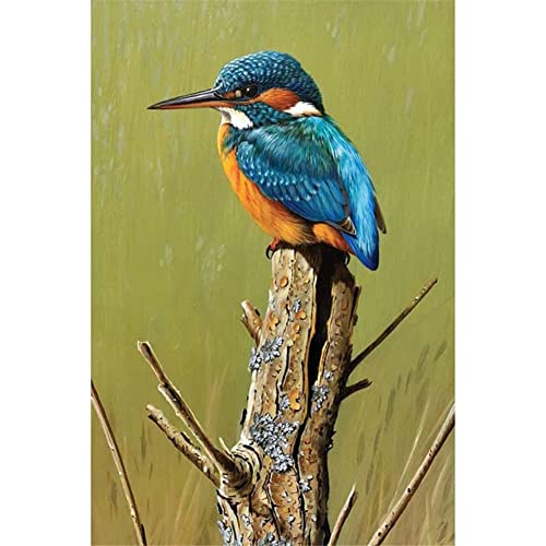 5D Diamond Painting DIY Set Blauer Eisvogel Full Drill Diamant Painting Bilder für Bastelset Erwachsene Kreuzstich Diamant Malerei Kits Rhinestone Mosaik Deko Wohnzimmer 40x60cm/16x24inch 5D Diamond Painting DIY Set Blauer Eisvogel Full Drill Diamant Painting Bilder für Bastelset Erwachsene Kreuzstich Diamant Malerei Kits Rhinestone Mosaik Deko Wohnzimmer 40x60cm/16x24inch von AENL