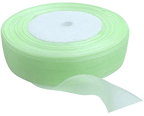 AERZETIX - C50808 - Organzaband glänzender dekorativer organza - 20mm x 45 meter - milch minze - kreative projekte nähkunst geschenkverpackung zur geburtstagsfeier von AERZETIX
