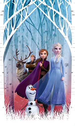 AG Design ELSA mit Freunden im Herbstwald, Frozen 2, Disney, Vorhänge für Kinderzimmer, 1 Teil, Mehrfarbig, 140 x 245 cm von AG Design