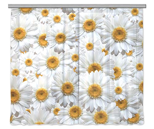 AG Design FCSXXL 7412 Blumen, Gardine/Vorhang, 2 Teile, Stoff, Mehrfarbig, 280 x 245 cm AG Design FCSXXL 7412 Blumen, Gardine/Vorhang, 2 Teile, Stoff, Mehrfarbig, 280 x 245 cm von AG Design