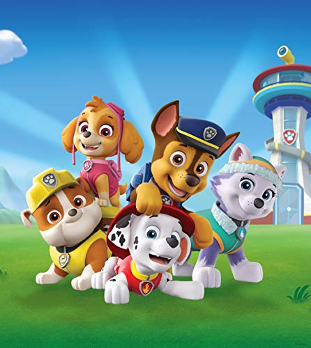 AG Design Paw Patrol Spielen auf dem Rasen, Vlies Fototapete für EIN Kinderzimmer, 180 x 202 cm, FTDNXL 5151, Mehrfarbig AG Design Paw Patrol Spielen auf dem Rasen, Vlies Fototapete für EIN Kinderzimmer, 180 x 202 cm, FTDNXL 5151, Mehrfarbig von AG Design