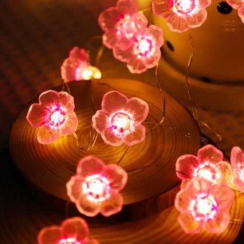 LED Bunt Lichterkette Blumen, 2M 20LEDs Batterie Kirschblüten-Lichterkette für Zimmer, dekorative Lichter für Innen und Außen, Geschenke für Frauen Mädchen von AGOTD