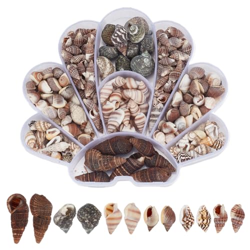 AHANDMAKER 230 Stück Natürliche Muschelperlen 6 Stile Gemischte Farben Ungebohrte Miniaturmuscheln Für DIY Schmuck Basteln Hochzeitsdekor Aquarium Vasenfüller 7~33mm von AHANDMAKER