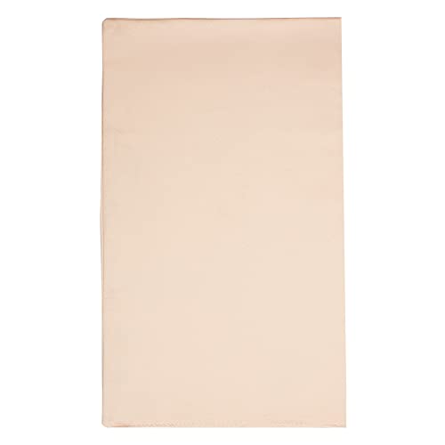 AHANDMAKER 9,5 Zoll Frauen Brautkleider Bescheidenheit Panel, Champagner Kleid zurück Tuch Brautkleid Korsett Reißverschluss Ersatz Satin Korsett zurück für formelles Ballkleid von AHANDMAKER