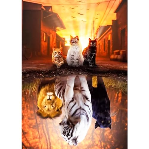 AIRDEA 5D Drei Katzen Reflexion DIY Diamond Art Painting Kit Vollbohrer, Diamant Malerei Kristall Stickerei Kreuzstich, Bilder Gemälde nach Zahlen für Erwachsene Home Wanddekoration 30x40cm von AIRDEA