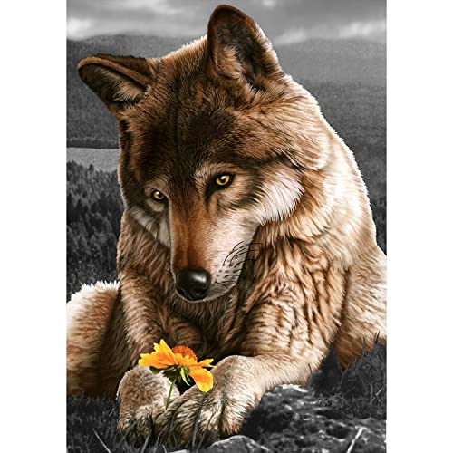 AIRDEA 5D Wolf Diamond Painting Bilder Anfänger,DIY Runder Vollbohrer Wolf Diamant Painting Set für Erwachsene Kinder,malen nach Zahlen Tier Diamant Painting Blume Bilder für Heim Dekor 30x40cm AIRDEA 5D Wolf Diamond Painting Bilder Anfänger,DIY Runder Vollbohrer Wolf Diamant Painting Set für Erwachsene Kinder,malen nach Zahlen Tier Diamant Painting Blume Bilder für Heim Dekor 30x40cm von AIRDEA