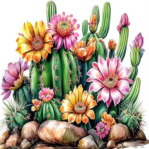 AIRDEA Kakteen Sukkulenten Diamond Painting Erwachsene, DIY 5D Blumen Diamant Painting Bilder, Bastelset Erwachsene Frauen als Haus Wanddeko 30x30 cm von AIRDEA