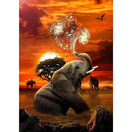 AIRDEA DIY Elefant Diamond Painting Set Erwachsene, Sonnenuntergang Diamant Painting Bilder 5D Tiere Diamant-Kunst Kits für Kinder Diamant Malerei Set Kreuzstich Malen Nach Zahlen Kits 30x40cm von AIRDEA