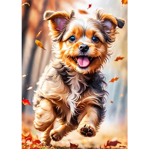 AIRDEA Glücklicher lächelnder Hund Diamond Painting Kits für Erwachsene, DIY 5D Diamond Art Paint mit runden Diamond, Full Drill Gem Art Painting Kit für Home Wall Decor Geschenke 30x40cm AIRDEA Glücklicher lächelnder Hund Diamond Painting Kits für Erwachsene, DIY 5D Diamond Art Paint mit runden Diamond, Full Drill Gem Art Painting Kit für Home Wall Decor Geschenke 30x40cm von AIRDEA