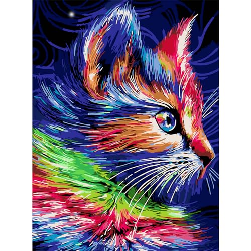 AIRDEA Katze Malen nach Zahlen Erwachsene, DIY Handgemalt Ölgemälde Kit, Regenbogen Paint by Numbers mit 3-Pinseln und Acrylfarbe 30x40 cm (Ohne Rahmen) von AIRDEA