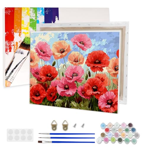 AIRDEA Mohn Malen nach Zahlen Erwachsene, DIY Handgemalt Ölgemälde Kit, Blauer Himmel Paint by Numbers mit 3-Pinseln und Acrylfarbe 40x30 cm (Gerahmt) von AIRDEA