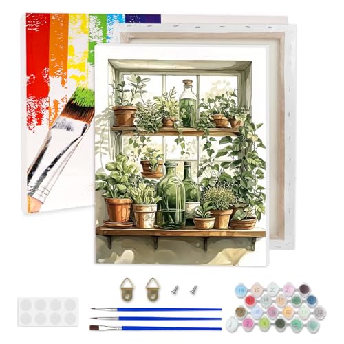 AIRDEA Pflanzenregal Malen nach Zahlen Erwachsene, Fenster DIY Handgemalt Ölgemälde Kit, Paint by Numbers mit 3-Pinseln und Acrylfarbe 30x40 cm (Gerahmt) von AIRDEA