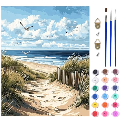AIRDEA Sandstrand Malen nach Zahlen Erwachsene, DIY Handgemalt Ölgemälde Kit, Küstenszene Paint by Numbers mit 3-Pinseln und Acrylfarbe 40x50 cm (Ohne Rahmen) von AIRDEA