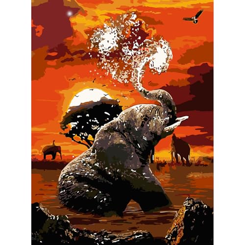 AIRDEA Elefant Malen nach Zahlen Erwachsene, DIY Handgemalt Ölgemälde Kit, Sonnenuntergang Paint by Numbers mit 3-Pinseln und Acrylfarbe 30x40 cm (Ohne Rahmen) von AIRDEA