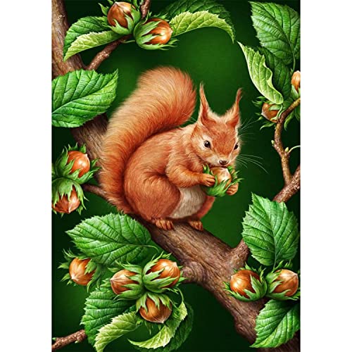 AIRDEA Squirrel Diamond Painting Kits for Adults, 5D DIY Squirrel Diamond Painting by Numbers, Round Full Drill Animal Diamond Art Kits, Diamond Painting Picture for Home Wall Decor 11.8x15.7 inch von AIRDEA