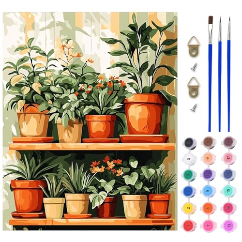 AIRDEA Topfpflanzen Malen nach Zahlen Erwachsene, DIY Handgemalt Ölgemälde Kit, Regale mit Pflanzen Paint by Numbers mit 3-Pinseln und Acrylfarbe 40x50 cm (Ohne Rahmen) von AIRDEA
