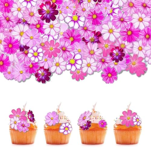 Glücksblume Tortendeko, 65 Stück, Blumen für Torte Rosa Weiß, Blüten Tortendeko, Glücksblume Cupcake Deko für Hochzeit, Geburtstag, Muffin Deko Taufe von AIXYEA