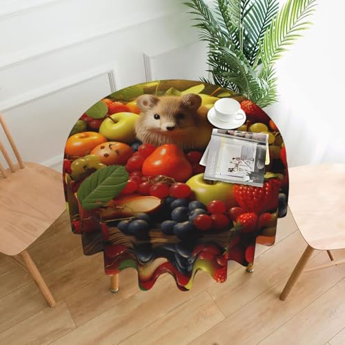 AKGFFDS Runde dekorative Tischdecke mit Hamster- und Obstdruck, 152,4 cm, für Essen im Innen- und Außenbereich, Partys, Hochzeiten AKGFFDS Runde dekorative Tischdecke mit Hamster- und Obstdruck, 152,4 cm, für Essen im Innen- und Außenbereich, Partys, Hochzeiten von AKGFFDS