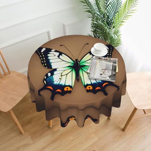 AKGFFDS Runde dekorative Tischdecke mit süßem kleinen Schmetterlings-Druck, 152,4 cm, für Innen- und Außenbereich, Partys, Hochzeiten AKGFFDS Runde dekorative Tischdecke mit süßem kleinen Schmetterlings-Druck, 152,4 cm, für Innen- und Außenbereich, Partys, Hochzeiten von AKGFFDS