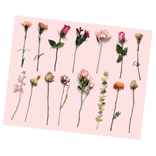 AKLOSIPY 30pcs Vintage Plants Sticker - Retro Blumenabziehbilder für Scrapbooking-, Journal-, Planer- und DIY Projekte (Rosig und zart) von AKLOSIPY