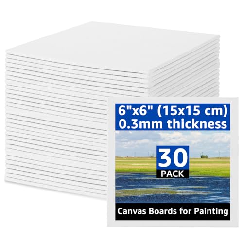 AKOLAFE 30 Stück 15x15cm Leinwand 3mm leinwand zum bemalen klein 15x15 cm Leinwände zum Malen günstig Leinwände zum Bemalen mit Keilrahmen Aus Baumwolle Geeignet für Acryl, Ölfarben, Skizze, Aquarell AKOLAFE 30 Stück 15x15cm Leinwand 3mm leinwand zum bemalen klein 15x15 cm Leinwände zum Malen günstig Leinwände zum Bemalen mit Keilrahmen Aus Baumwolle Geeignet für Acryl, Ölfarben, Skizze, Aquarell von AKOLAFE