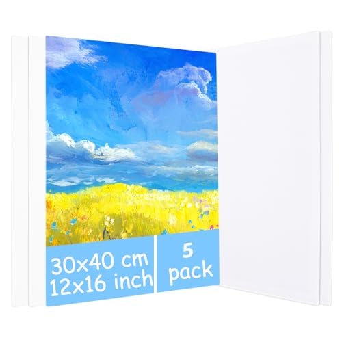 AKOLAFE 5 Stück Leinwand zum Bemalen 30x40 cm Weiß Leinwände zum Malen 3mm Dick Keine Leinwände zum Bemalen mit Keilrahmen Aus Baumwolle Geeignet für Acryl, Ölfarben, Skizze und Aquarell AKOLAFE 5 Stück Leinwand zum Bemalen 30x40 cm Weiß Leinwände zum Malen 3mm Dick Keine Leinwände zum Bemalen mit Keilrahmen Aus Baumwolle Geeignet für Acryl, Ölfarben, Skizze und Aquarell von AKOLAFE