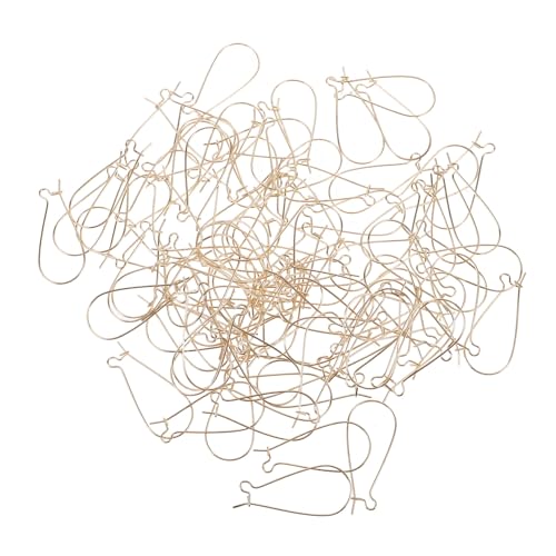 AKOOSY 100 Stück Ohrringhaken aus Eisen für DIY Schmuckherstellung Leichte Langlebige Ohrhaken Einfache Bastelaccessoires für Handgemachte Ohrringe AKOOSY 100 Stück Ohrringhaken aus Eisen für DIY Schmuckherstellung Leichte Langlebige Ohrhaken Einfache Bastelaccessoires für Handgemachte Ohrringe von AKOOSY