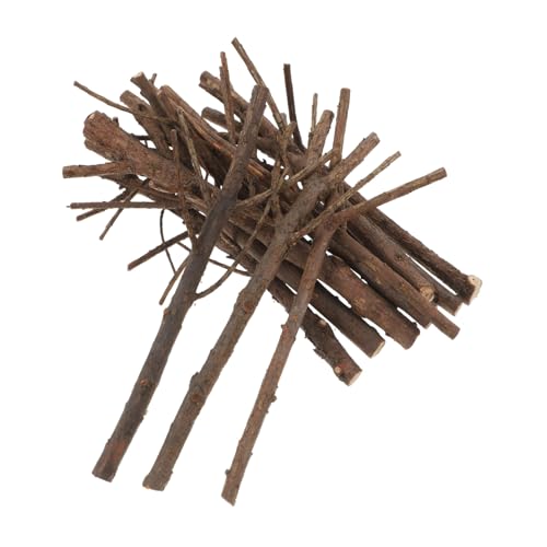 AKOOSY 15 Stück Teiliges Lange Weihnachts Pinienzapfen Holzstangen für DIY Bastelprojekte Naturgetreue Stäbe aus Holz für Kreative Handarbeiten und Foto Requisiten AKOOSY 15 Stück Teiliges Lange Weihnachts Pinienzapfen Holzstangen für DIY Bastelprojekte Naturgetreue Stäbe aus Holz für Kreative Handarbeiten und Foto Requisiten von AKOOSY