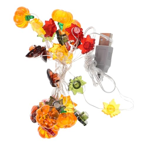 AKOOSY Halloween LED Lichterkette Leds USB Innenbereich Flexible Kupferdraht Deko für Party Schlafzimmer Herbstliche Stimmung Vielseitig für Halloween Geburtstag Herbstfest AKOOSY Halloween LED Lichterkette Leds USB Innenbereich Flexible Kupferdraht Deko für Party Schlafzimmer Herbstliche Stimmung Vielseitig für Halloween Geburtstag Herbstfest von AKOOSY
