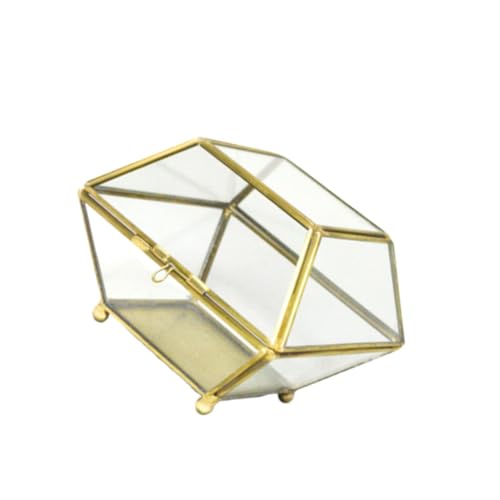 AKOOSY Transparente Glas Schmuckschatulle Groß Schmuckaufbewahrungsbox für Damen und Mädchen Elegante Aufbewahrungsbox für Ringe Ohrringe Halsketten Stilvoll und Praktisch AKOOSY Transparente Glas Schmuckschatulle Groß Schmuckaufbewahrungsbox für Damen und Mädchen Elegante Aufbewahrungsbox für Ringe Ohrringe Halsketten Stilvoll und Praktisch von AKOOSY