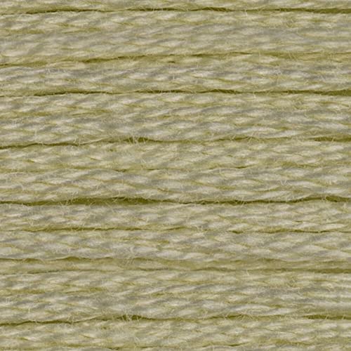 CXC Amo DMC 1–35 Kreuzstich-Stickgarn, komplettes Set, farbechte Baumwollseide, farblich passende DMC (10 – sehr helles zartes Grün) von AKxStitch