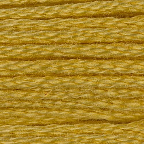 CXC Amo DMC 1–35 Kreuzstich-Stickgarn, komplettes Set, farbechte Baumwollseide, farblich passende DMC (17 – hellgelbe Pflaume) von AKxStitch