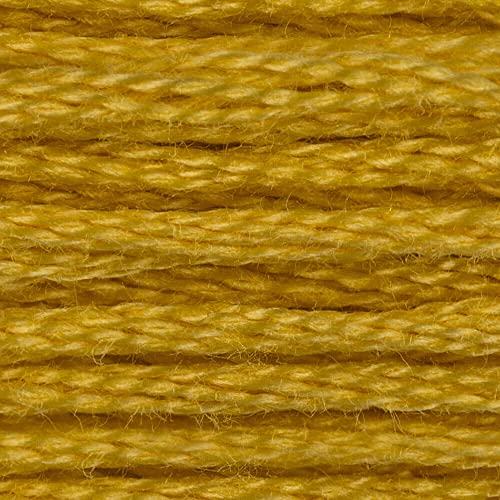 CXC Amo DMC 1–35 Kreuzstich-Stickgarn, komplettes Set, farbechte Baumwollseide, farblich passende DMC (18 – gelbe Pflaume) von AKxStitch