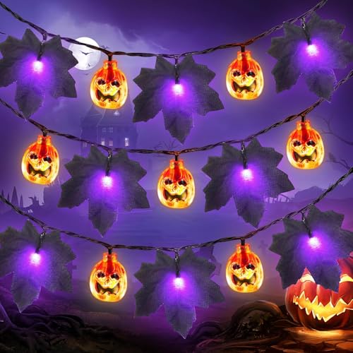 ALEGRE® 3M 30 LED Halloween Schwarzer Ahornblatt Kürbis Lichterkette von ALEGRE
