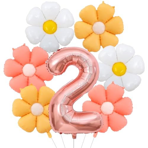 ALEGRE® Gänseblümchen Geburtstagsdeko 2 Jahre von ALEGRE