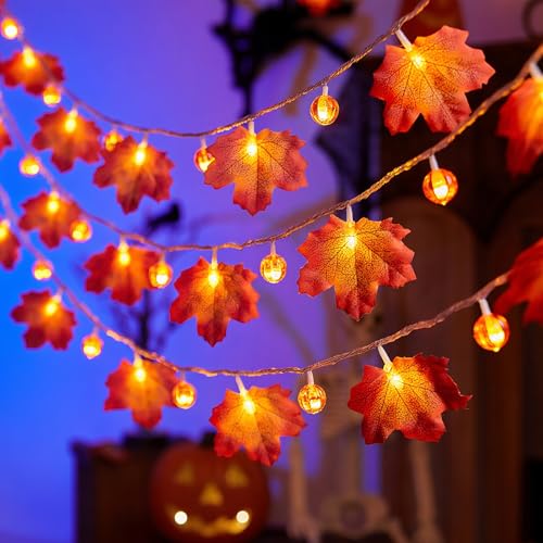 ALEGRE® Herbst Lichterkette, 3M 20 LED Kürbis Ahornblätter Lichterkette Batterie, Herbstdeko Ahornblatt Lichterketten Innen Außen, Lichterketten Herbst für Halloween, Weihnachten, Herbst Dekoration von ALEGRE