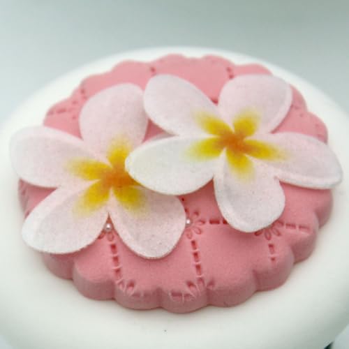 ALEGRE Hawaii Kuchen Dekoration 75 Stück für Strand, Pool, Geburtstag von ALEGRE