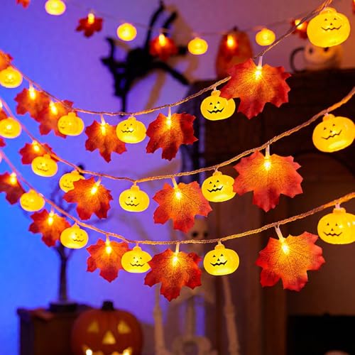 ALEGRE Herbst Lichterkette, 3M 20 LED Kürbis Ahornblätter Lichterkette Batterie, Herbstdeko Ahornblatt Lichterketten Innen Außen, Lichterketten Herbst für Halloween, Weihnachten, Herbst Dekoration ALEGRE Herbst Lichterkette, 3M 20 LED Kürbis Ahornblätter Lichterkette Batterie, Herbstdeko Ahornblatt Lichterketten Innen Außen, Lichterketten Herbst für Halloween, Weihnachten, Herbst Dekoration von ALEGRE
