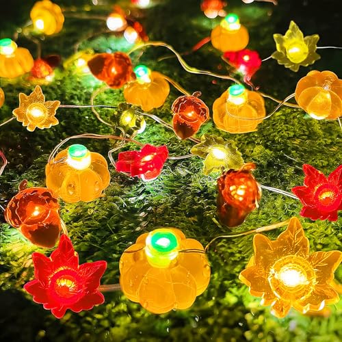 ALEGRE Herbst Lichterkette,2M 20 LED Kürbis Ahornblätter Lichterkette Batterie,Herbstdeko Kürbis Deko Lichterketten Innen Außen,Ahornblatt LED Lichterketten für Halloween,Weihnachten,Herbst Dekoration von ALEGRE